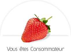 consommateur